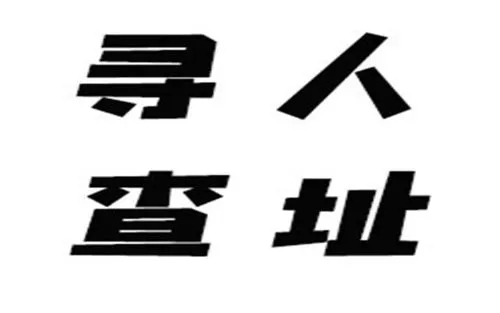 可以联系专业的寻人机构或私家侦探，他们有丰富的经验和资源，能够提供更专业的帮助。